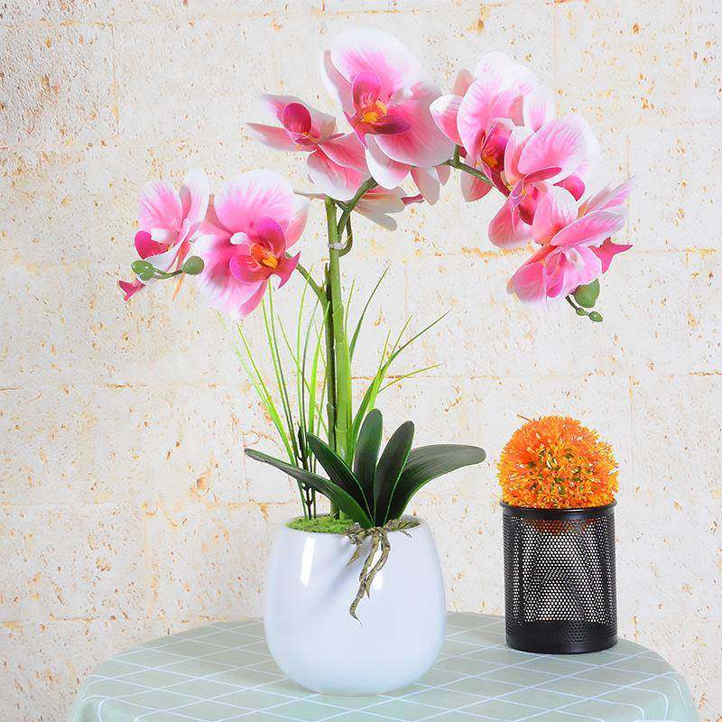 仿真花2叉蝴蝶兰花陶瓷花盆盆景套装花 家居客厅室内装饰花艺摆放,电子元器件市场,其它元器件,淘宝优惠券,粉丝福利购,淘宝优惠卷