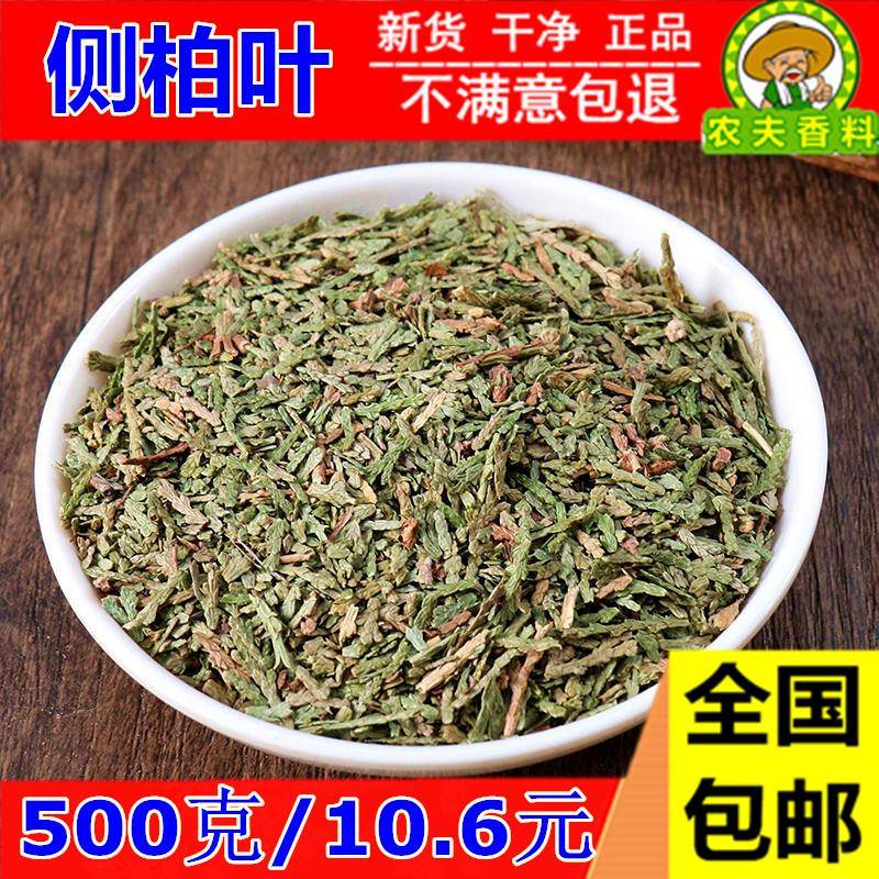 正品新货侧柏叶500克包邮侧柏叶中药材侧柏叶桑叶苦丁茶生发脱发