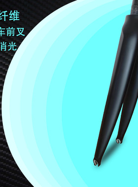 全碳纤维公路自行车前叉无标黑色消光
