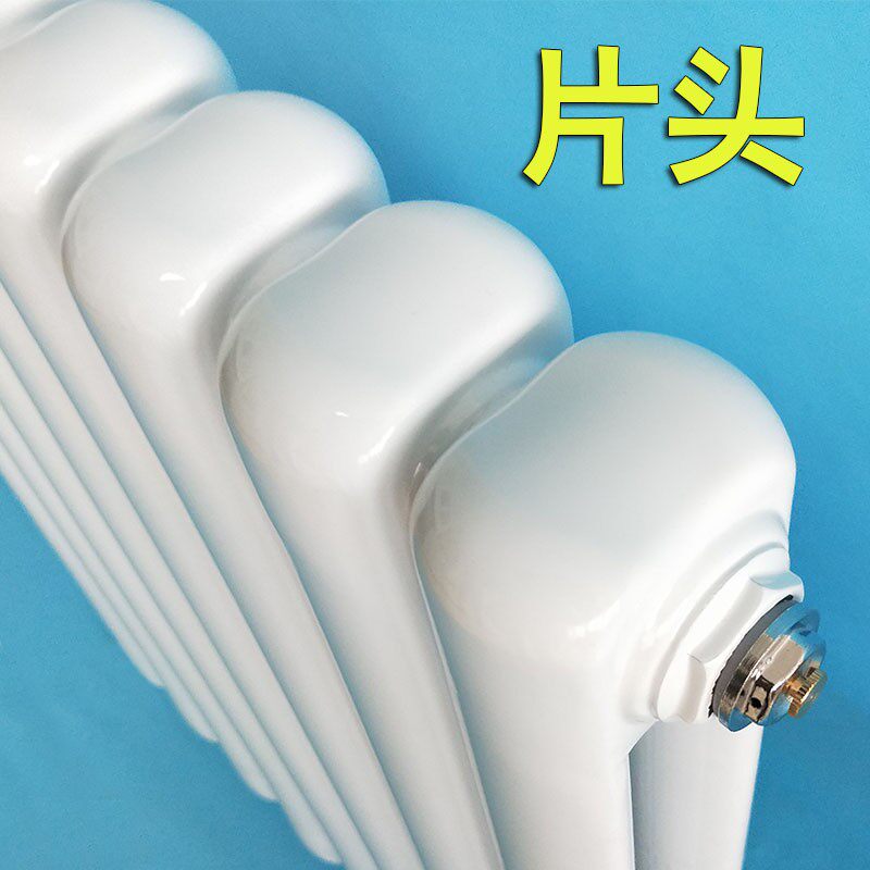 壁挂式暖气片家用钢制水暖散热器集中供暖装饰加厚立式现货大水道