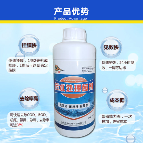 活性污泥菌种化粪池屠厂宰养殖场生活废水恶臭除臭净化好氧池挂膜