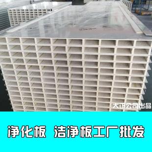 50mm厚机制中空玻镁板洁净室厂房净化板工厂洁净室
