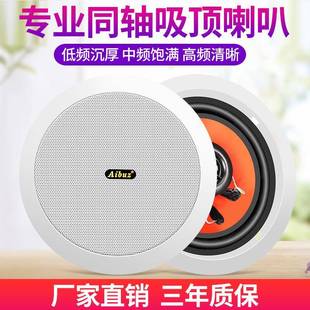 618Y20W同轴吸顶天花喇叭吊顶音响套装 定压背景音乐广播音箱