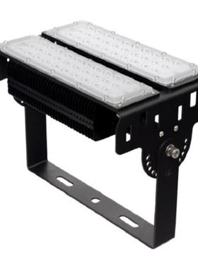 ZH-FL7-ZH100AC220V/50Hz100W泛光灯