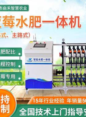 蓝莓草莓施肥灌溉一体设备全自动无土栽培智能水肥一体机智能灌溉