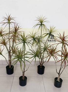 新中式现代北欧风格绿植盆景仿真千年木树造景客厅室内盆景摆件