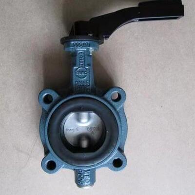 EBRO手动蝶阀 Z011-A DN250 原装正品 依博罗阀门