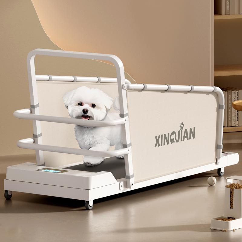 狗狗跑步机犬用猫咪跑步机比熊泰迪柯基宠物跑步机中小型犬走步机