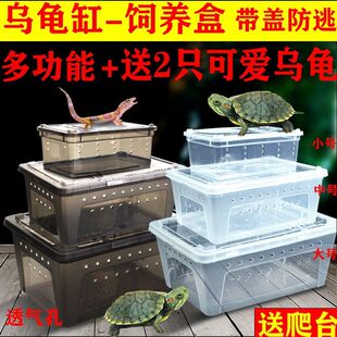 爬宠饲养盒养乌龟专用缸带盖防逃逸超大号透明专用盒透气养爬宠物
