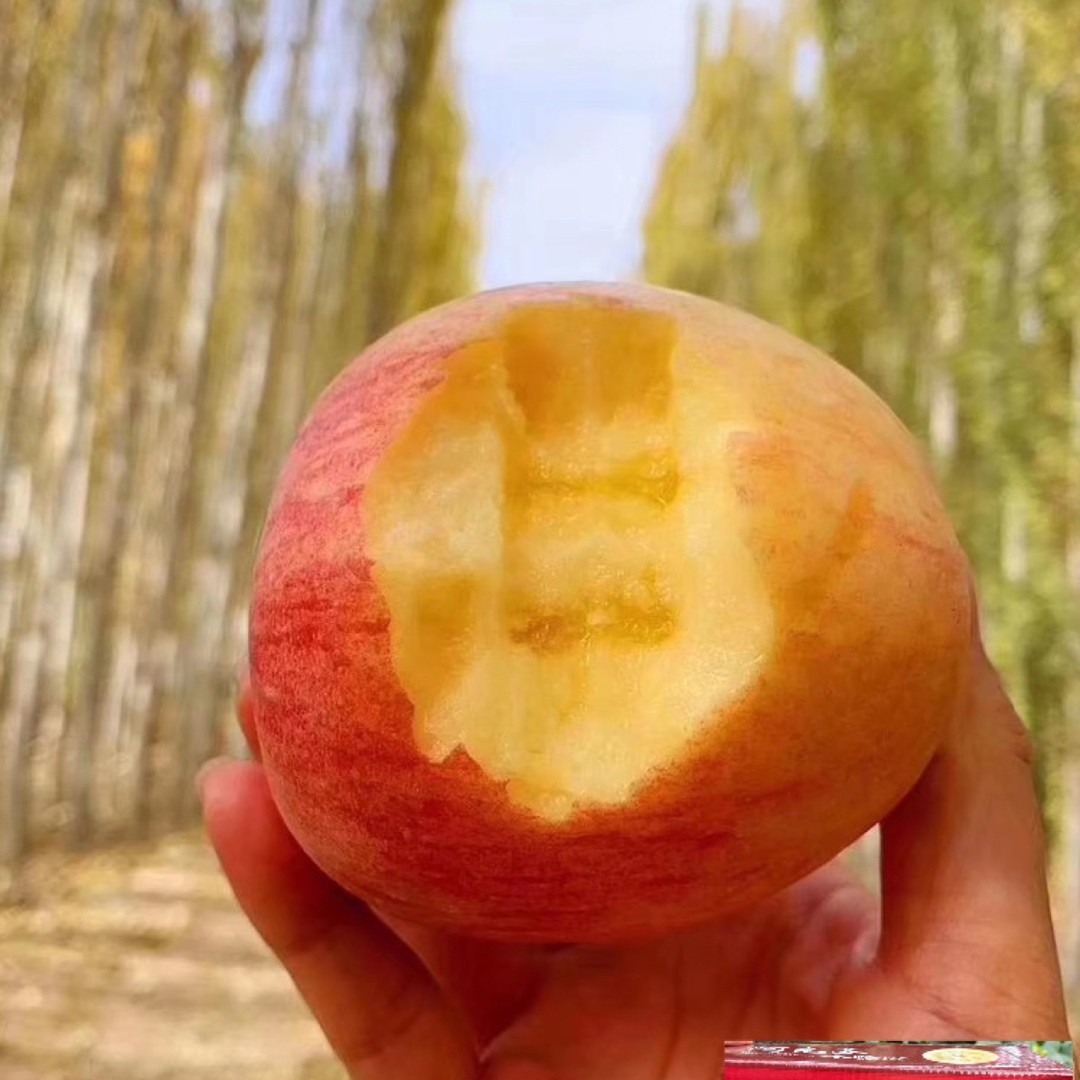 阿克苏冰糖心苹果脆甜爽口不打蜡带土带灰原生态产地直发