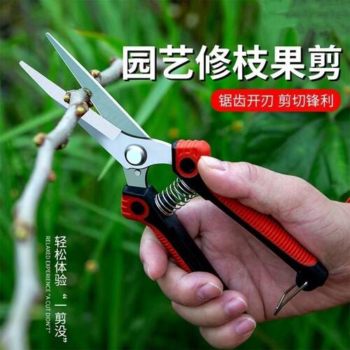 新款不锈钢修枝剪多功能省力园艺剪刀摘果修花稀果剪子葡萄桔子采