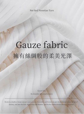 网红竖百叶c梦幻帘窗帘白纱纱帘透光不透人2021年新款客厅白色纱