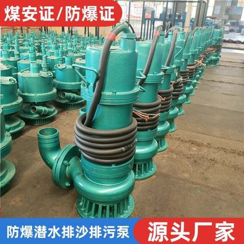 矿用隔爆型潜水排沙电泵BQS1.5kw千瓦350kw防爆潜污水泵380v660伏