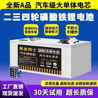 宁德磷酸铁锂大容量动力锂电池48V60V72伏二三四轮车电动车电瓶