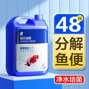 硝化细菌鱼缸用观赏锦鲤鱼池稳定水质净化消化细菌活菌专用净水剂