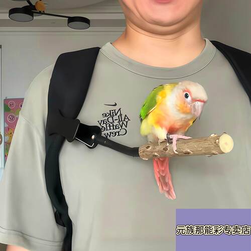 不用手举！鹦鹉背包肩挂便携站杆玄凤小太阳外出互动磨爪遛鸟神器