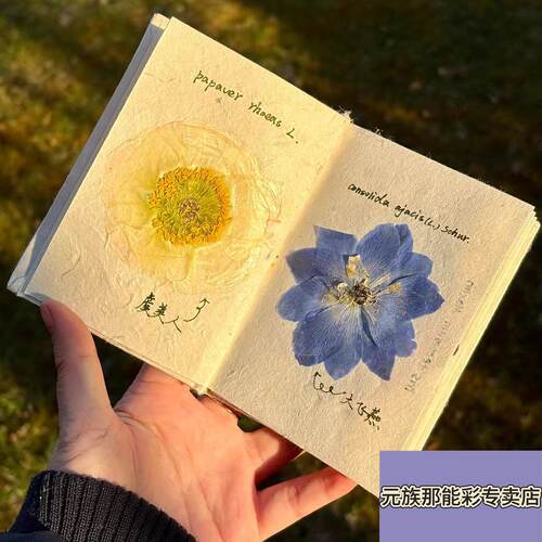 植物标本收集册手工diy材料包压花空白半成品笔记本新款手工本