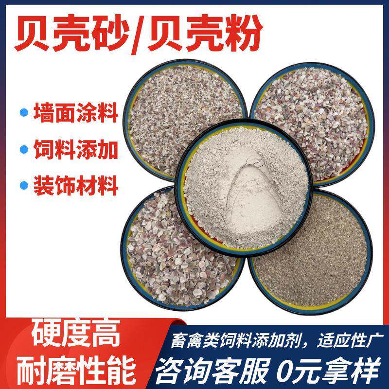 地坪骨料贝壳片 造景贝壳沙铺底滤料用彩色贝壳砂家禽宠物补钙沙