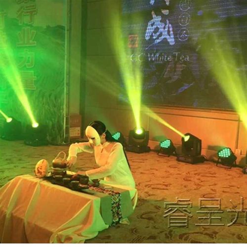 230w光束灯200W光速摇头灯酒吧灯舞台灯光设备闪光灯婚庆演出帕灯