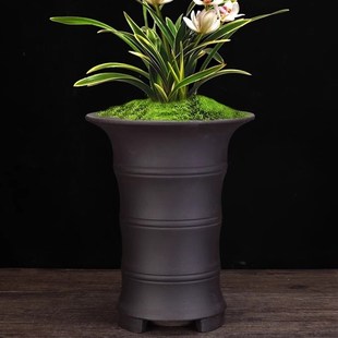 宜兴紫砂兰花盆君子兰蝴蝶兰蕙兰专用精品客厅竹节古典盆景盆 包邮