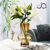 欧式 简约小肚圈玻璃花瓶桌面插花百合玫瑰富贵竹腊梅鲜花摆件客厅