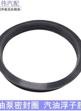 高尔夫途观新帕萨特速腾迈腾CC昊锐凌渡油箱浮子密封圈汽油泵胶圈