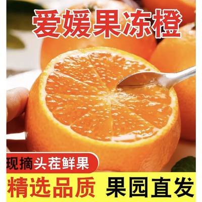 正宗四川爱媛38号果冻橙新鲜当季水果爆汁甜手剥橙子现摘现发