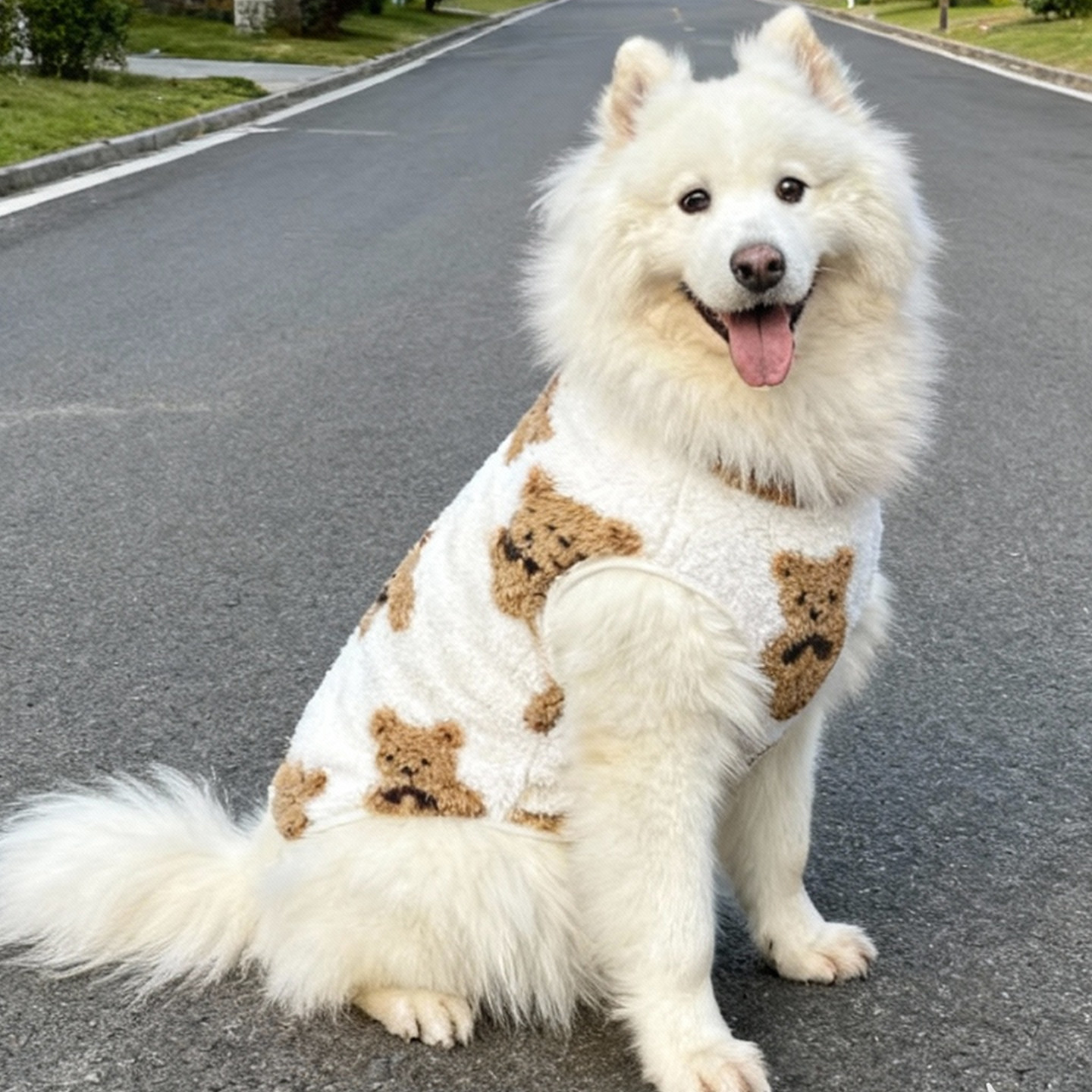 萨摩耶专用狗狗衣服秋冬天冬季背心幼犬保暖防掉毛大型犬阿拉斯加图片