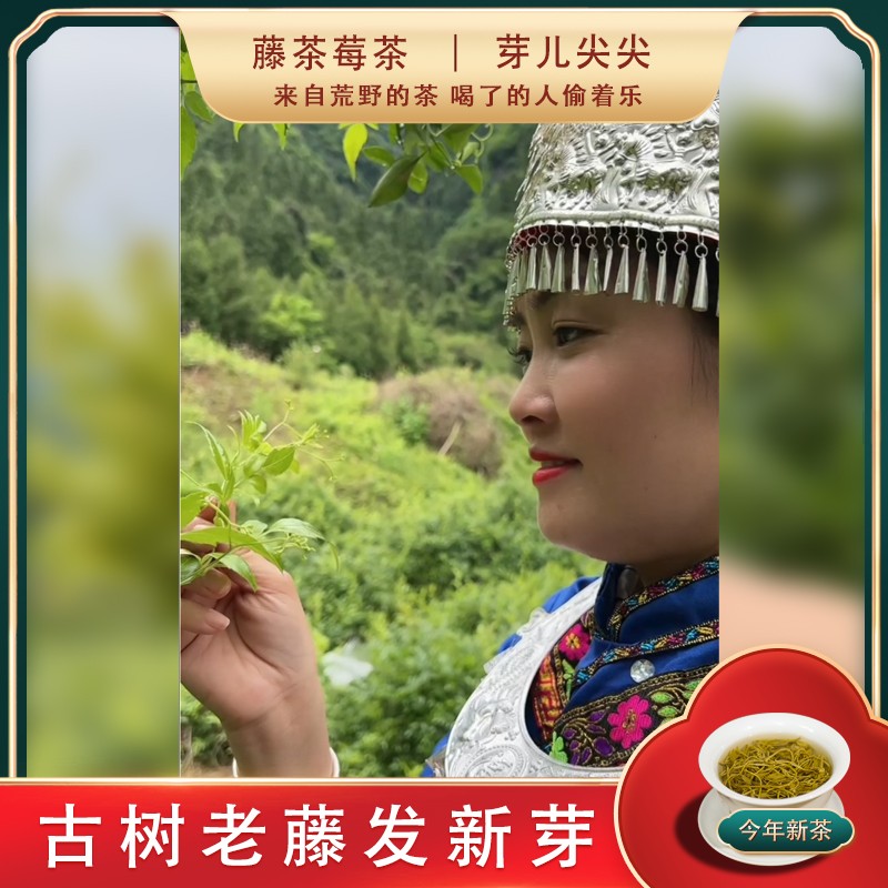 暖心助农 莓茶龙须芽尖张家界永顺恩施来凤藤茶莓茶 原产芽头