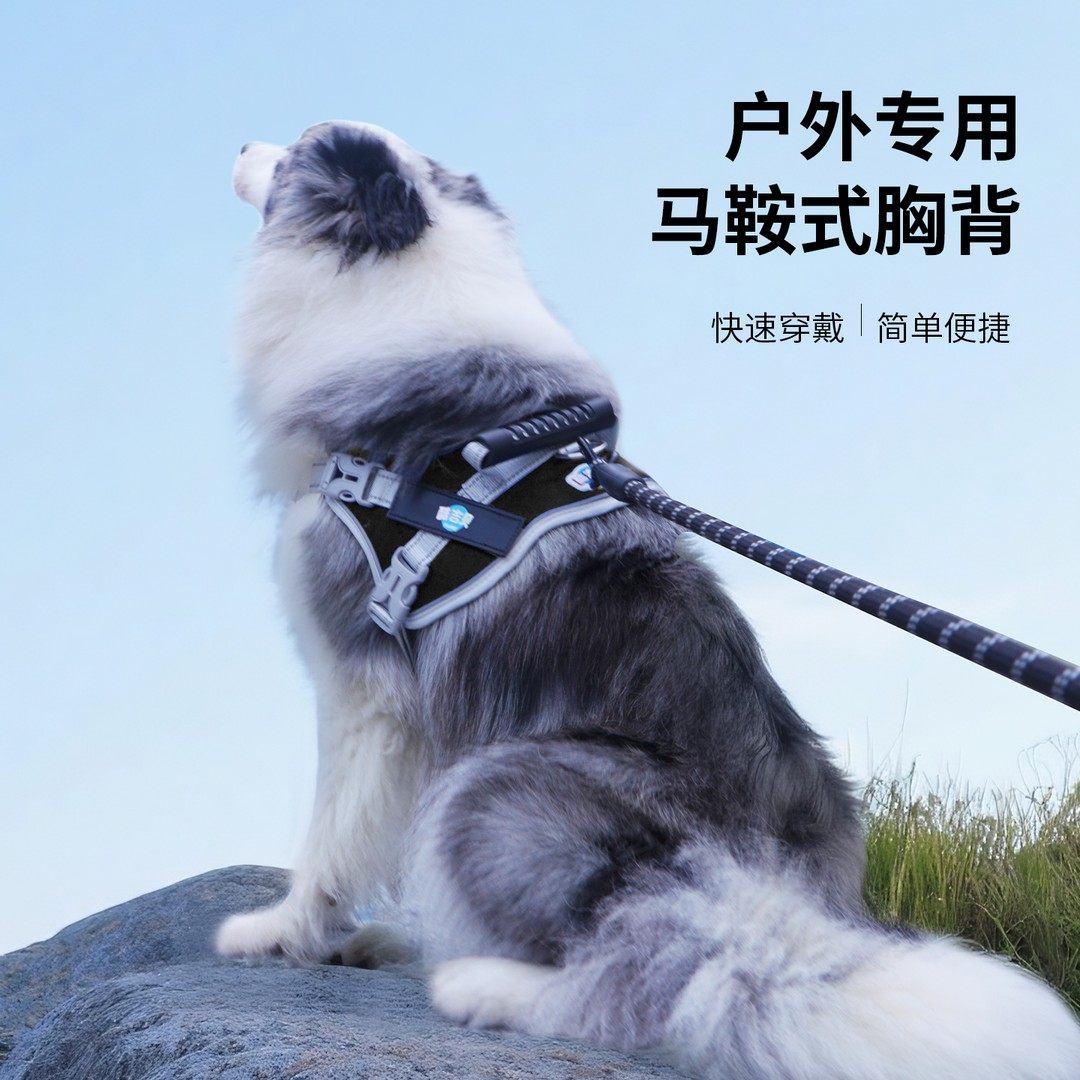 酷吉贝狗狗马鞍式胸背带加牵引绳P绳中大型犬遛狗皆可用,宠物/宠物食品及用品,猫牵引绳,淘宝优惠券,粉丝福利购,淘宝优惠卷