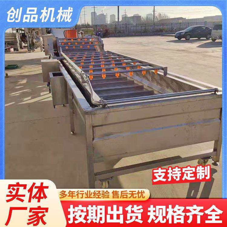 气泡清洗机枇杷芒果莲雾水果表面除尘冲浪式清洗设备创品