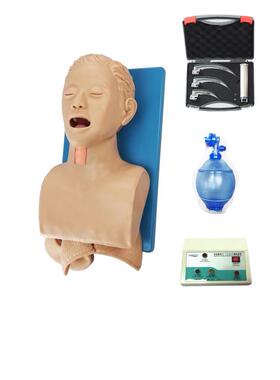 CPR急救假人气管插管训练模型电子气道管理及环甲膜穿刺模拟人