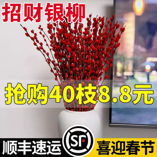 银柳真花鲜枝干花摆件室内水培绿植物新年红福桶招财年宵花卉盆栽