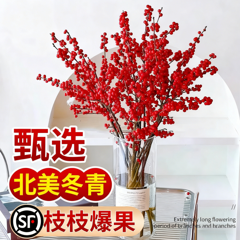 进口北美冬青鲜切枝水培植物鲜花束红果水养室内年宵银柳花卉真花,鲜花速递/花卉仿真/绿植园艺,绿植,淘宝优惠券,粉丝福利购,淘宝优惠卷