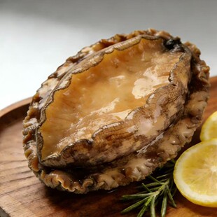 五年鲍肉-开工福利特大新鲜活冻鲍鱼肉 去壳去内脏一斤9-10头