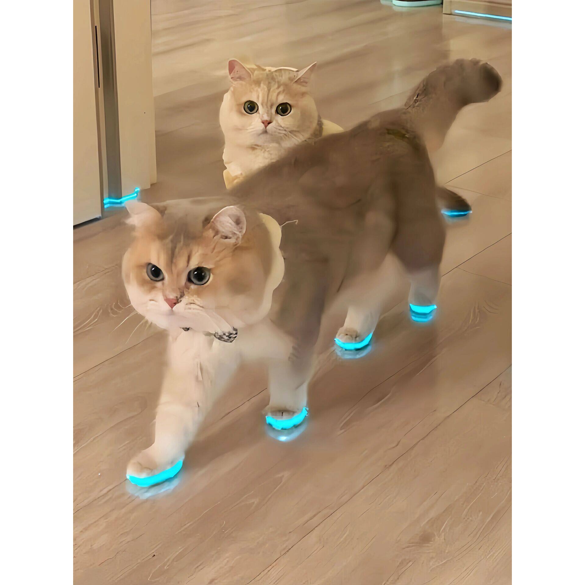 宠物发光鞋猫咪狗狗防滑鞋带LED胶带通用型夜视鞋猫咪鞋子防掉鞋