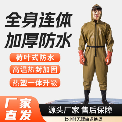 下水裤全身防水女款路亚摸鱼出口连体衣男女雨水男款叉鱼服衣裤下