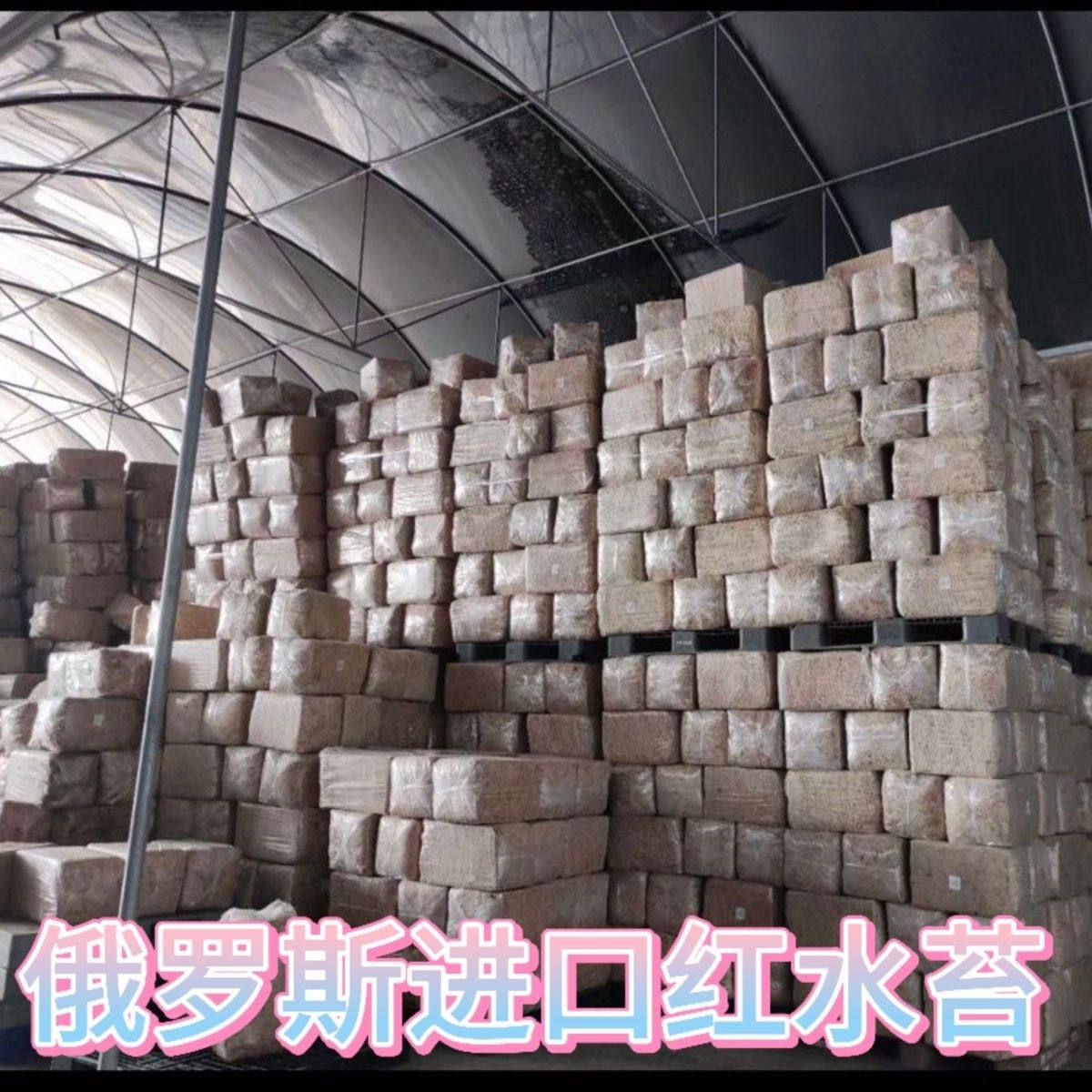 俄罗斯进口(红水苔)天然无菌石斛爬宠垫材捕蝇草蝴蝶兰专用水苔