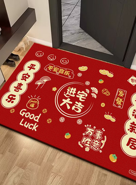 2025年入户门地垫新款塑料出入玄关前门家用厨房门门高档店铺