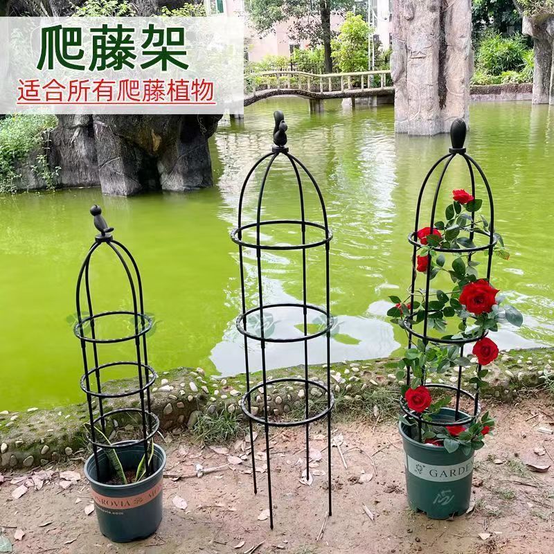 花架爬藤架欧式庭院爬藤架阳台绿植支架可拼接多层飘香藤蔷薇花架