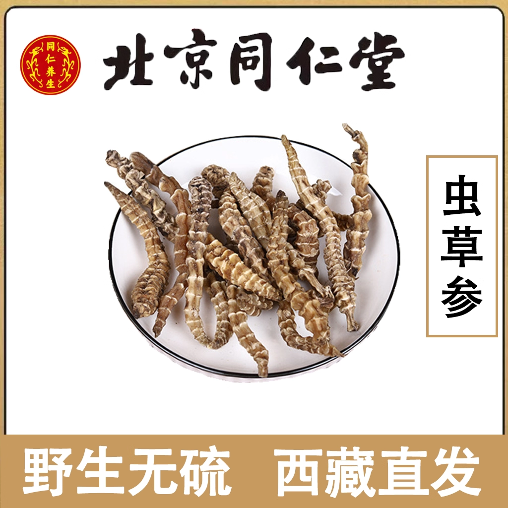 同仁堂虫草参西藏野生地参正品新货无硫无添加天然滋补养生煲汤料