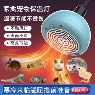 暖风保温灯养殖小鸡鹦鹉仓鼠爬宠蜜袋鼯宠物恒温箱加热取暖灯泡