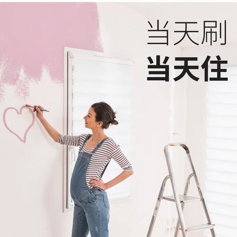 都象【外墙漆】室外水泥墙毛坯墙乳胶漆墙面漆自刷防水防晒耐候涂