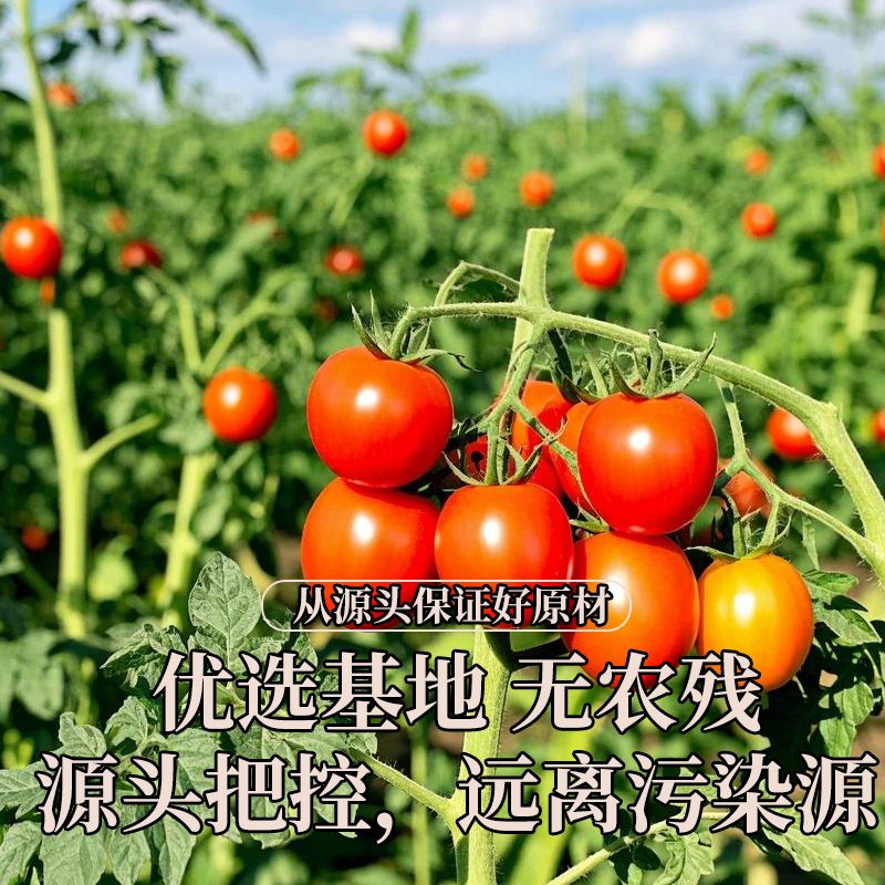 新品披萨酱必胜客家用芝士酱做披萨材料烘焙配料意大利面酱料番茄