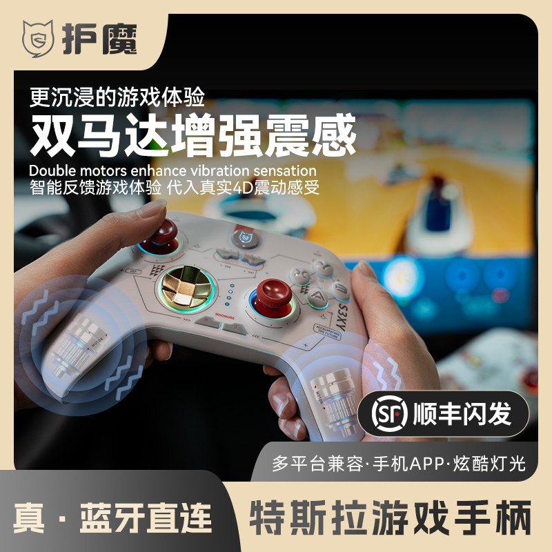 【第5代震动强化】护魔适用特斯拉游戏手柄ModelY/3蓝牙连接双人