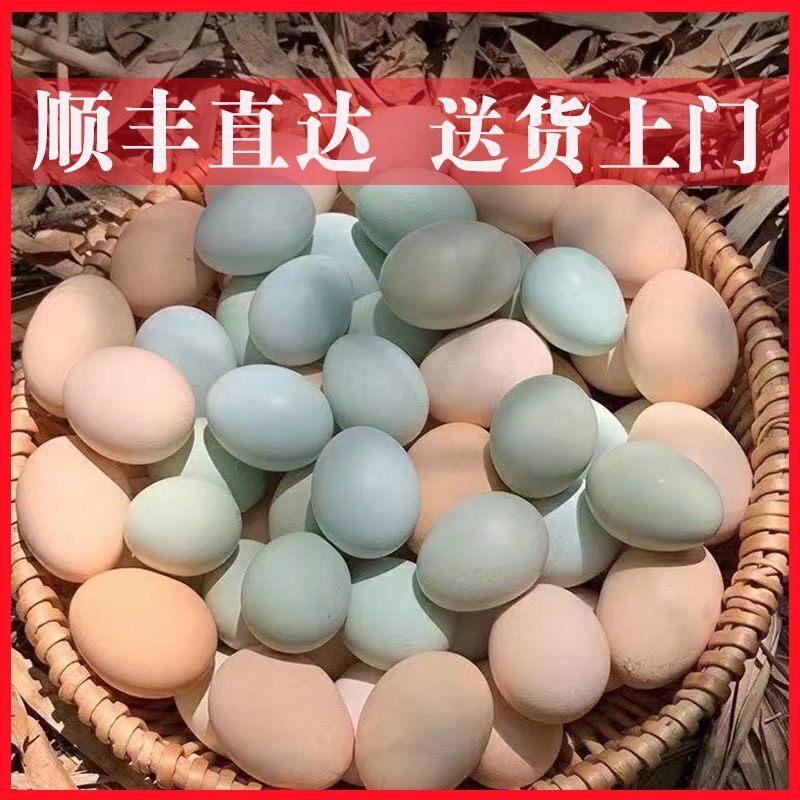 顺丰送货上门孙加强自己散养的土鸡蛋笨鸡蛋农家新鲜纯农村草鸡蛋