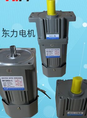 TLM东力电机齿轮减速马达5IK120GU-C配减速箱 120W 轴15MM 带耳朵
