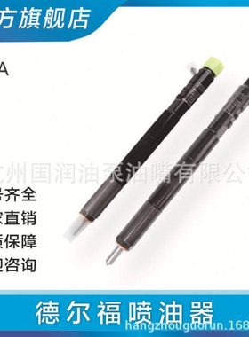 EJBR02901D EJBR02501Z EJBR03301D EJBR03701D 喷油器适用德尔福