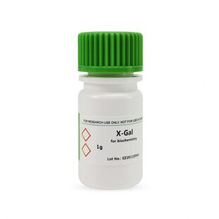 BioFroxx 半乳糖苷X 氯 溴 gal 吲哚 beta 1100GR001