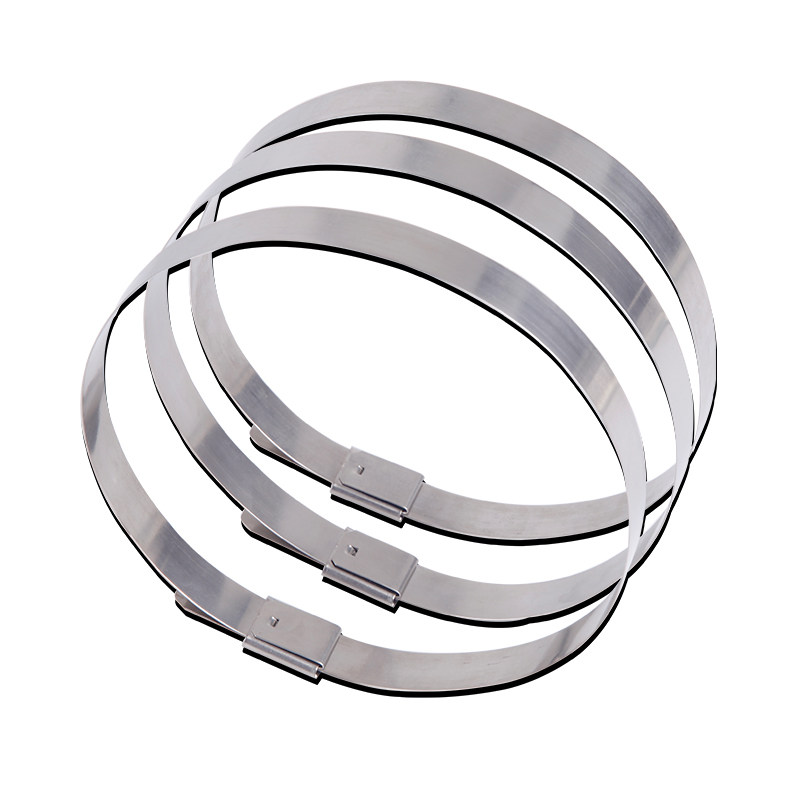 不锈钢扎带固定器 201材质4.6*200mm钢带拉紧器扎丝卡扣抱箍金属